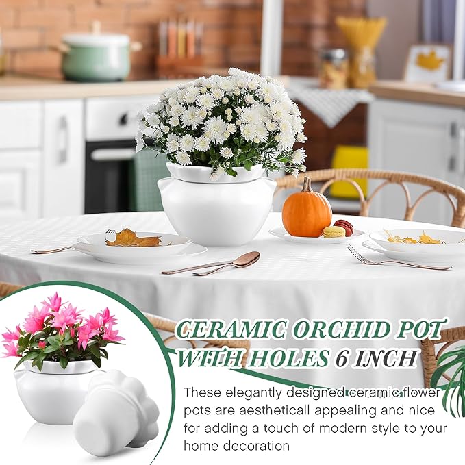 1 Set 7.5 Inches African Violet Pots Self Watering White Ceramic Pot for Indoor Plants, Flowerpot with Highly Absorbent Inner Pot for Busy Plant Lovers, Plant Care