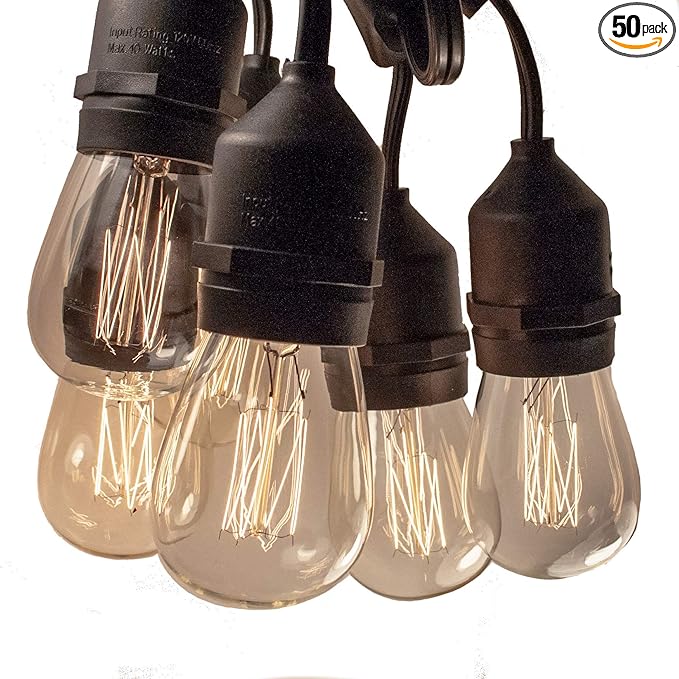 Hometown Evolution, Inc. 100 Foot E26 Commercial Outdoor Edison Bulb String Lights with Suspended Sockets (100 Foot 50 Socket, S14 Lantern Edison 11 Watt Bulbs)
