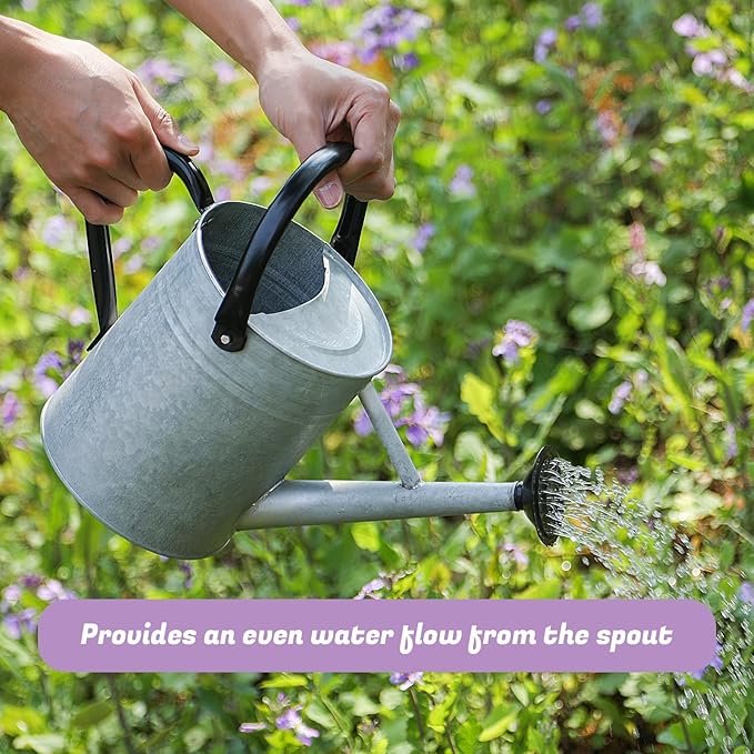 1 Gallon Watering Can for Plants, Watering Cans for Indoor&Outdoor Gardening, Galvanized Steel Watering Pot with Removable Spout, Metal Water Can with Ergonomic Movable Handle(Rustic Silver)