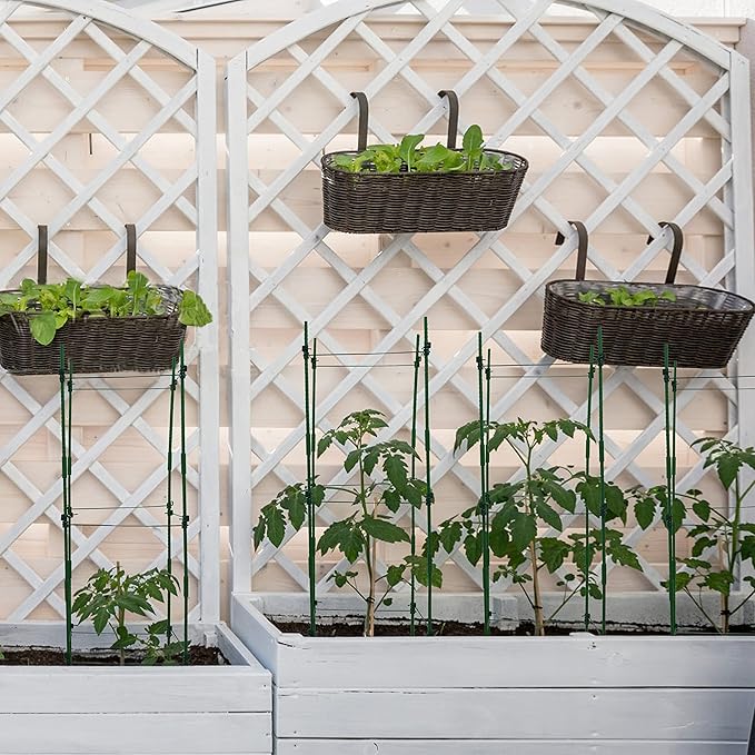 Gardzen Multi-use Tomato Cage Plants Support, Trellis Climbing Cage Stand for Pepper Eggplant Tomato Flowers