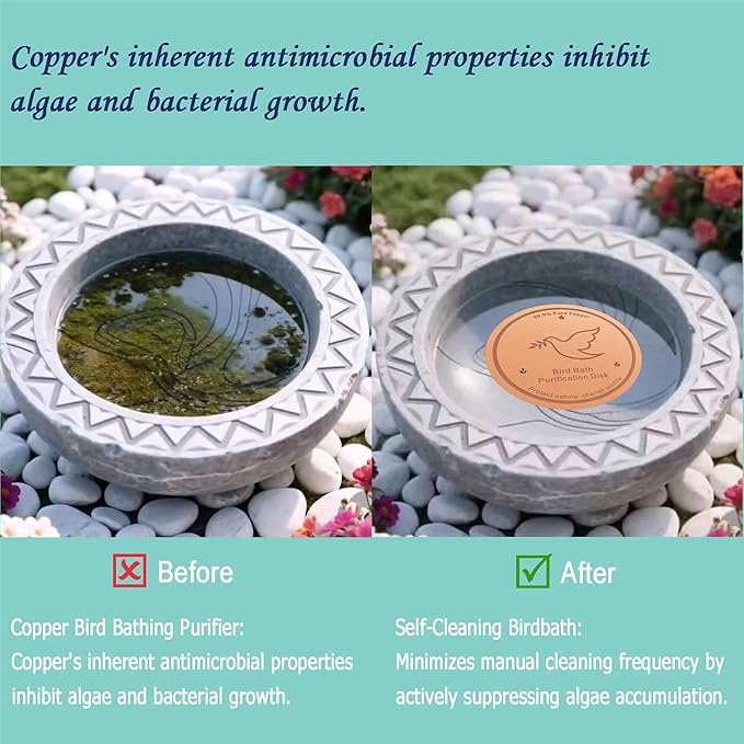 1Pack Bird Bath Copper Purification Disk | 0.6mm Reinforced 99.9% Pure Copper | Universal Fit for Outdoor Birdbaths(Birdbath Copper 1 Pack)