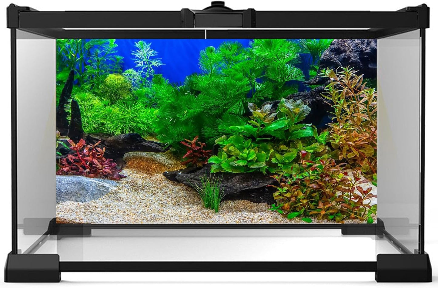Aquarium Background Underwater Grass Leaves with Pebble Aquarium Backdrop Vivid and Fresh Green Aquatic Plant Stone River Bed and Lake Fish Deadwood Tank Background Decor Vinyl 36x20in
