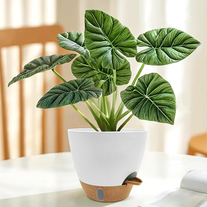 12/10/9/8 inch Self Watering Pots with Visual Water Window, Extra Large Self Watering Plant Pot with Drainage Holes and Saucers, White Flower Pots for Indoor Plants