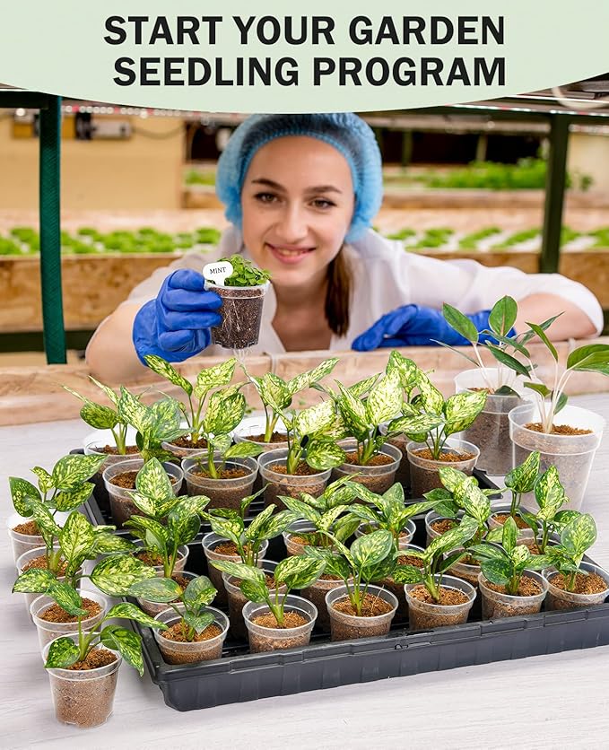 homenote Clear Nursery Pots for Plants,5 Inch Plant Pot for Planting Plastic Seedling with Drainage Holes Seed Starter Flower High Transparency with 20 Labels (30 Pack)