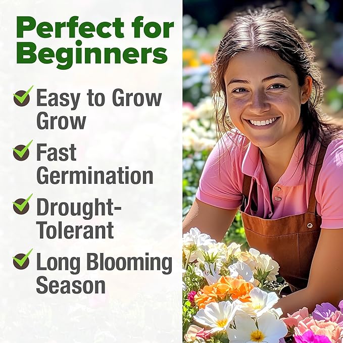 HOME GROWN 23,500+ Moss Rose Seeds (Bulk Pack) Annual Flower for Ground Cover - Heirloom 𝗡𝗢𝗡-𝗚𝗠𝗢 Portulaca Seeds for Planting Outdoors - Great for Low-Maintenance Gardens (Portulaca grandiflora)