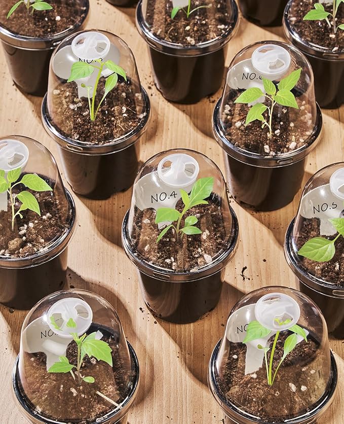 homenote Nursery Pots for Plants,5 Inch Plant Pot for Planting with Humidity Domes Plastic Seedling with Drainage Holes Seed Starter Flower with 10 Labels Black (15 Pack)