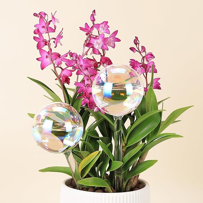 6.4 oz Medium Plant Self Watering Globes, Light Iridescent Glass Water Bulb for Indoor Plants While Away, Automatic Plant Waterer Self-Watering Stakes, Plant Thing for Plant Parents, 2 Pack