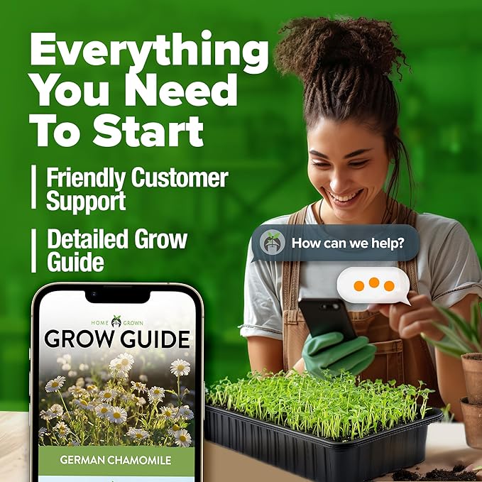 HOME GROWN 𝗨𝗦𝗔 𝗣𝗥𝗘𝗠𝗜𝗨𝗠 German Chamomile Seed Pack – 2,280 𝗡𝗢𝗡-𝗚𝗠𝗢 Heirloom Seeds for Planting for Sustainable Gardens and Soothing Medicinal Herbal Teas (Matricaria chamomilla)