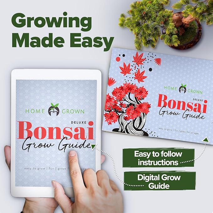 HOME GROWN Bonsai Tree Kit - Premium Ceramic Starter Kit - 4 Variety of Bonsai - Unique Gift for Men and Women Gardeners