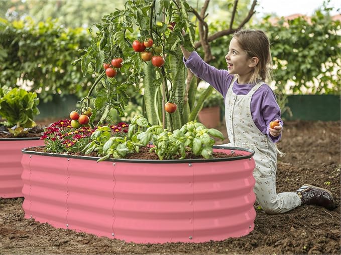 Galvanized Raised Garden Beds Outdoor // 4×2×1 ft (2-Pack) Planter Raised Beds for Gardening, Vegetables, Flowers // Large Metal Garden Box (Pink) // Patented Tool-Free Design
