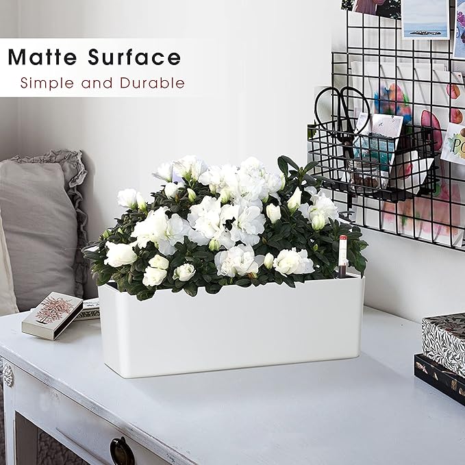 GardenBasix Elongated Self Watering Planter Pots Window Box 5.5 x 16 inch Indoor Home Garden Modern Decorative Planter Pot for All House Plants Flowers Herbs (White,1-Pack)