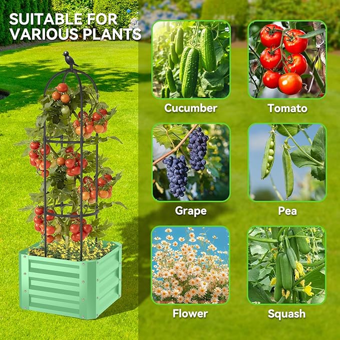 1Pack Raised Garden Beds Outdoor, Galvanized Metal Raised Garden Bed with Trellis, 16x16x60inch Tomato Cage Planters Box with Trellis for Climbing Plants Vegetable Vine Flowers