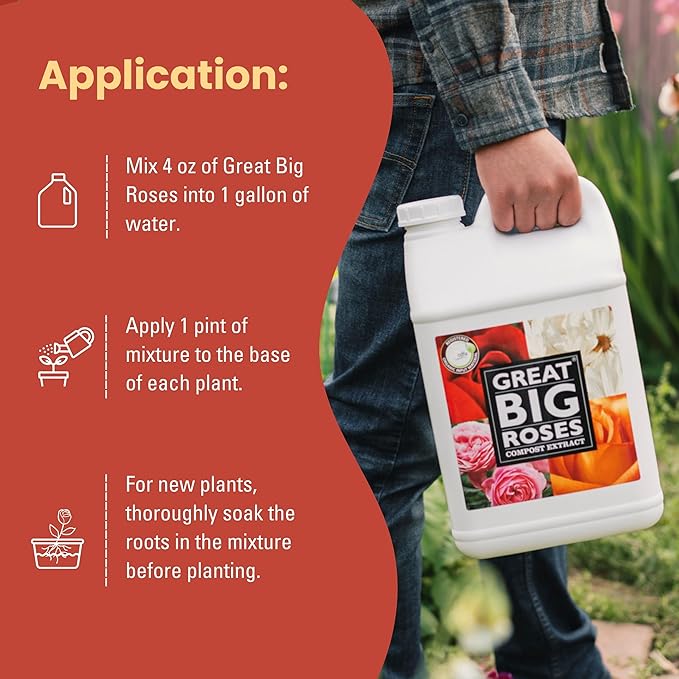 Great Big Roses – Soil and Rose Fertilizer Booster to Grow The Best Roses and Flowers; Rose Food Compost Extract for Rose Bush, 1 Gallon Concentrate (Makes 32 Gallons)