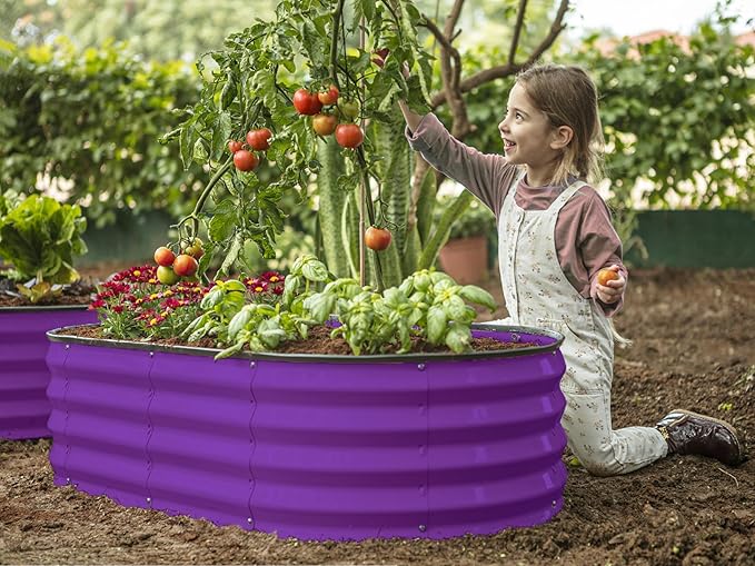 Galvanized Raised Garden Beds Outdoor // 4×2×1 ft Planter Raised Beds for Gardening, Vegetables, Flowers // Large Metal Garden Box (Purple) // Patented Tool-Free Design