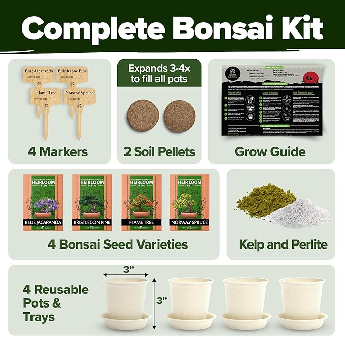 HOME GROWN Bonsai Tree Kit, Grow Your Own: Premium 4 Bonsai Trees Starter Kit | Unique Japanese Gardening Gift for Moms, Women, Men, Beginners & Gardeners | Creative Crafts for Adults BK1-2nd-MF