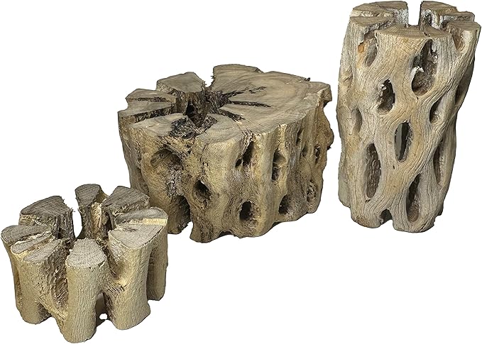 3 Natural Cholla Wood Air Plant Display Holders Tiered 1, 2 & 3 inch Individually Unique Round Decorative Stands