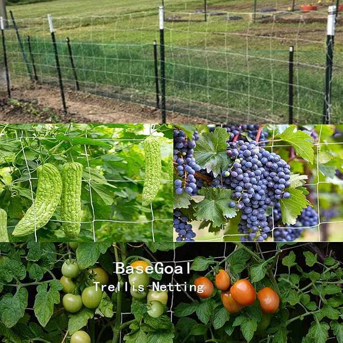 All-Weather Trellis Netting Mesh Plant Garden Vine Growing Flexible String Net (6" Mesh ployester, 5' Wx 30'L)