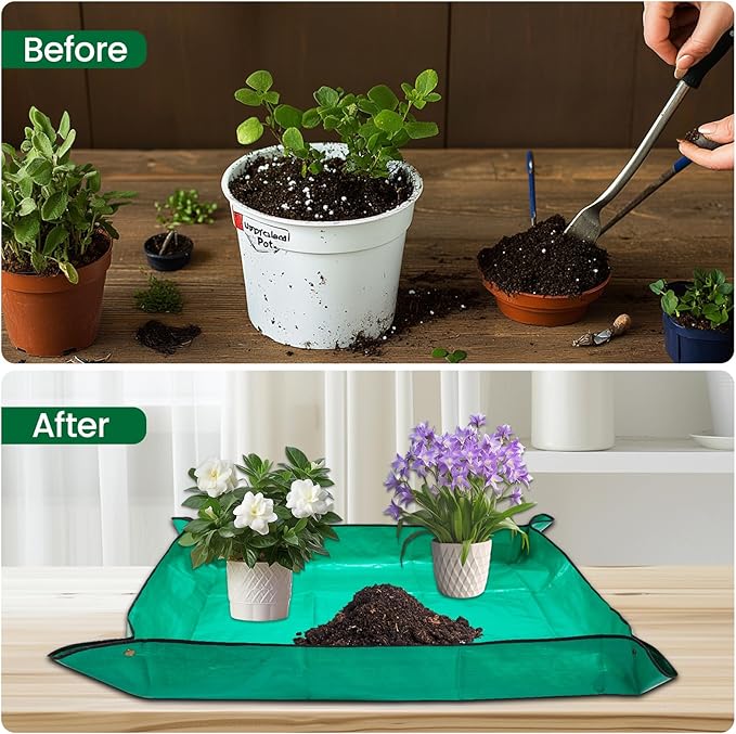 GROWNEER Large Bonsai Training Pots 3 Packs 14 Inch with Drainage Humidity Trays, Bonsai Tree Starter Kits with 1 Repotting Mat, Growing Rectangle Planter for Garden Yard Office Indoor Outdoor