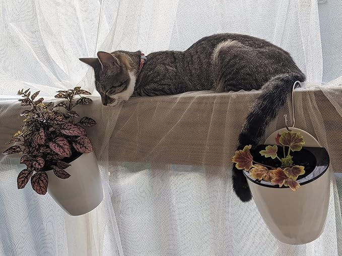 6 Packs 5" Plastic Self Watering Pots Wall Hanging Planters Wall Mounted Wicking Flower Pots for Indoor and Outdoor African Violet, Ocean Spider Plant, Orchid, White