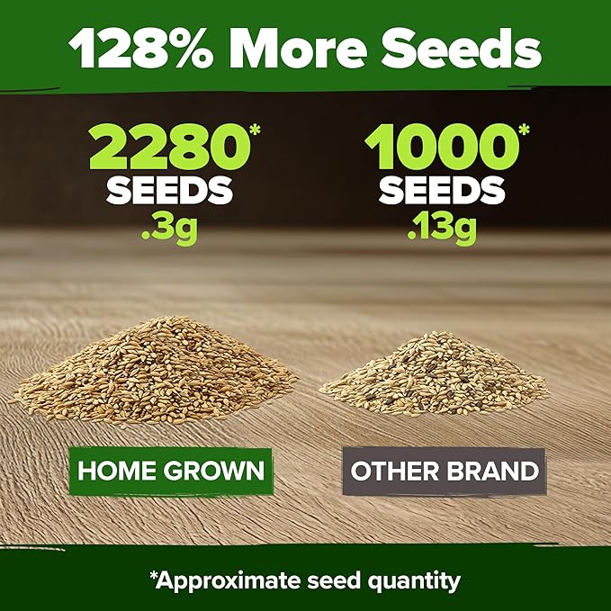 HOME GROWN 𝗨𝗦𝗔 𝗣𝗥𝗘𝗠𝗜𝗨𝗠 German Chamomile Seed Pack – 2,280 𝗡𝗢𝗡-𝗚𝗠𝗢 Heirloom Seeds for Planting for Sustainable Gardens and Soothing Medicinal Herbal Teas (Matricaria chamomilla)