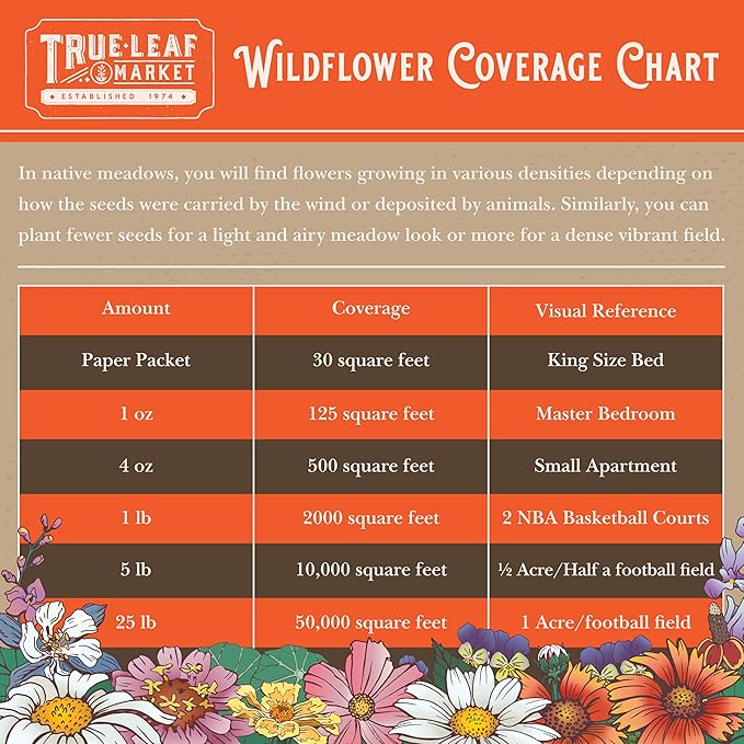 All Annual Wildflower Mix Seeds for Planting - 4 Oz ~4,000+ Seeds - 21 Varieties Including California, Indian Blanket, Scarlet Flax, & More - Attracts Pollinators - Bulk Wildflower Seed