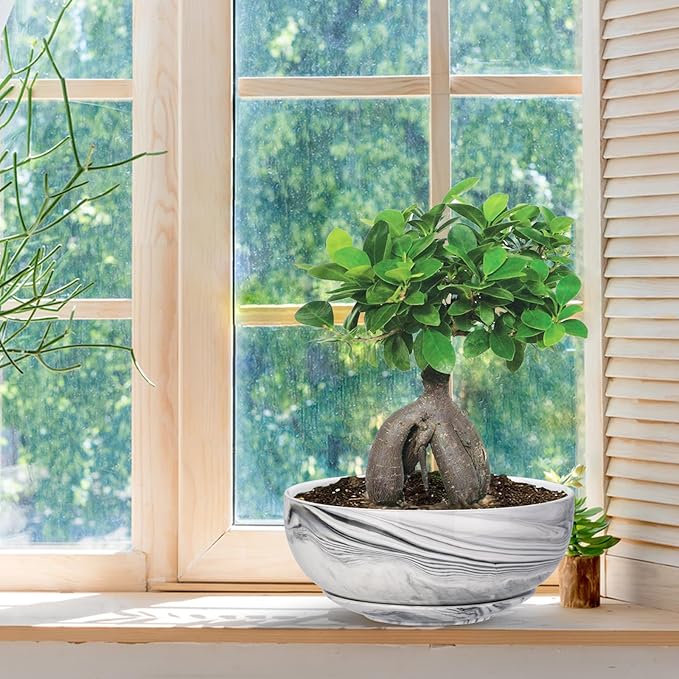 G EPGardening 8in Marble Pattern Large Round Succulent Planter Pot Modern Flower Pot Indoor and Outdoor Planter with Marble Tray