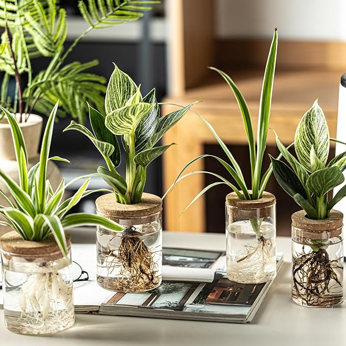 Glass Plant Propagation Stations for Plants – Set of 4(6 Large & 6 Small) Hydroponic Vases for Plant Cuttings,Flower Arrangements, Home & Office Decor–Desktop Vases for Living Room, Bedroom (12)