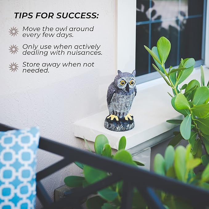 Galashield Owl Decoy to Scare Birds Away | Plastic Owls to Scare Birds Away | Owl Statue for Garden & Outdoors by Galashield [Set of 2]