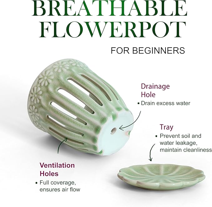 5" Ceramic Orchid Pot with Saucer: Ceramic Orchid Planter for Repotting - Plant Flower Pots for Orchid Indoor Outdoor - Orchid Pots with Holes - Orchid Container with Drainage Holes and Tray