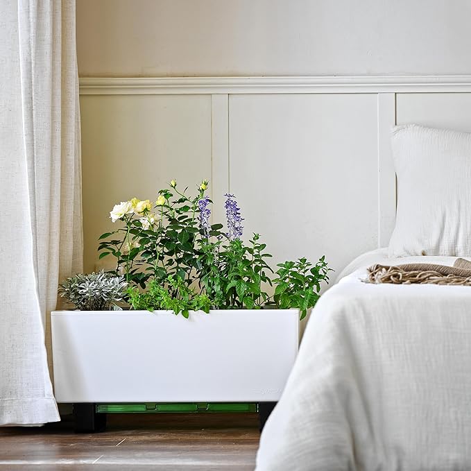 Glowpear Self-Watering Mini Bench Planter - 23.6" in Pot, Free Standing, UV Stable, Scalable, Indoor | Outdoor Pot with Water Gauge, for Home Kitchen Windowsill Gardening