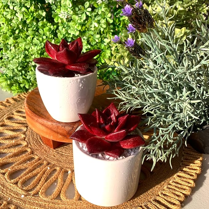 FWPP Live Succulents Plants Echeveria Agavoides v Romeo Rubin 3 inches,Rare red Succulents Bare Root Without Pot Soil, Live Plants Indoor Office Decoration Wedding and Gift