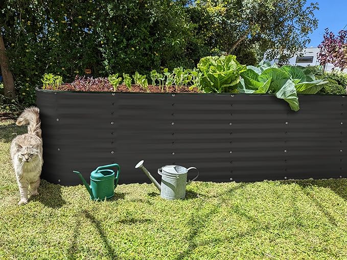 Galvanized Raised Garden Beds Outdoor // 8×2×2 ft Planter Raised Beds for Gardening, Vegetables, Flowers (Black) // Large Metal Garden Box // Patented Tool-Free Design
