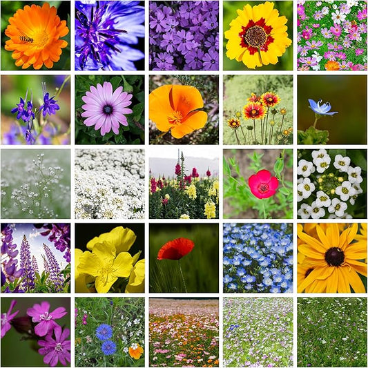 All Annual Wildflower Mix Seeds for Planting - 4 Oz ~4,000+ Seeds - 21 Varieties Including California, Indian Blanket, Scarlet Flax, & More - Attracts Pollinators - Bulk Wildflower Seed