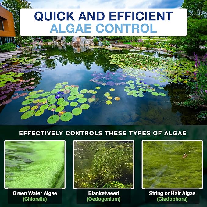 Aquascape 96022 Algaecide for Pond, Waterfall, and Water Features, 8-Ounce