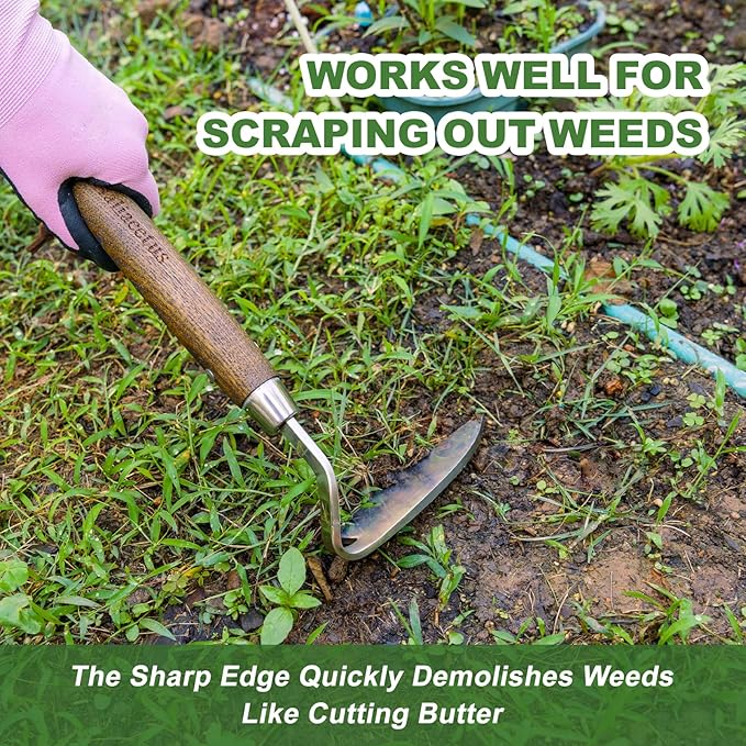 Haliaeetus Gardening Sickle Hoe, Japanese Bent Angle Weeding Sickle, Stainless Steel Weed Hoe Scraper