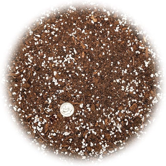 House Plant and Tropical Plant Potting Soil - Re-Potting Soil for All Types of Indoor House Plants - 1 Quart Bag