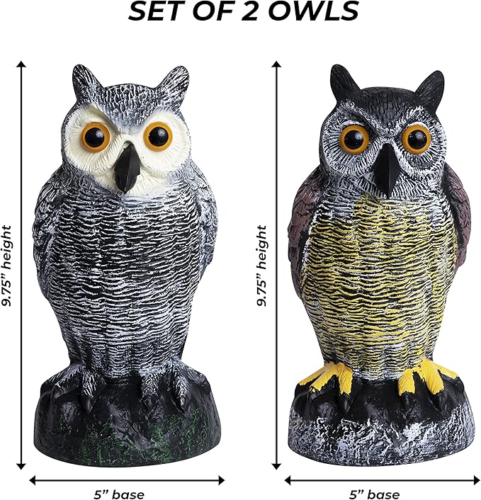 Galashield Owl Decoy to Scare Birds Away | Plastic Owls to Scare Birds Away | Owl Statue for Garden & Outdoors by Galashield [Set of 2]