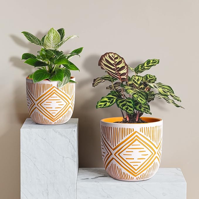 2 Boho Style Terra Cotta Pots, 6 Inch Yellow Plant Pots with Drainage Holes, Suitable for Indoor Plants Ferns,Vines, Succulents and Outdoor Plants Growing, a Gift for Plant Lovers