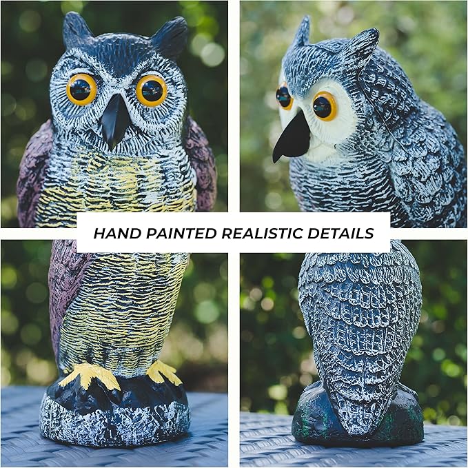 Galashield Owl Decoy to Scare Birds Away | Plastic Owls to Scare Birds Away | Owl Statue for Garden & Outdoors by Galashield [Set of 2]