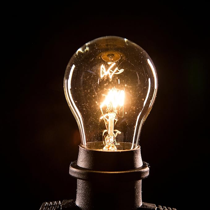 Hometown Evolution, Inc. 100 Foot E26 Outdoor Commercial String Lights with Suspended Socket for Weatherproof Heavy Duty Vintage Outside Lighting - Set of 50 A15 Clear Bulbs