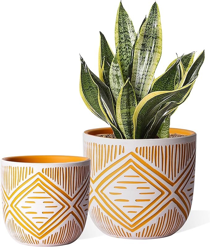 2 Boho Style Terra Cotta Pots, 6 Inch Yellow Plant Pots with Drainage Holes, Suitable for Indoor Plants Ferns,Vines, Succulents and Outdoor Plants Growing, a Gift for Plant Lovers