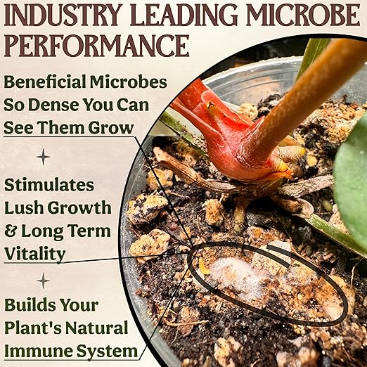 All-in-One Complete Organic Plant Food, Indoor Plant Fertilizer, for Houseplants, Organic Fertilizer for Vegetable Gardens, 11 Formulated Single Servings Feeds 22 gal Fast and Slow Release