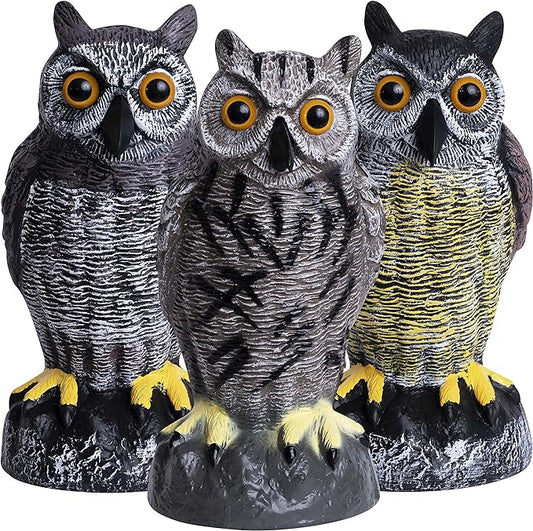 Galashield Owl Decoys to Scare Birds Away | Plastic Owls to Scare Birds Away | Owl Statue for Garden & Outdoors [Set of 3]