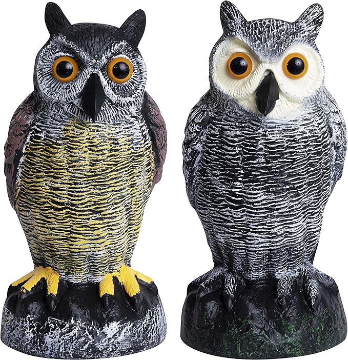 Galashield Owl Decoy to Scare Birds Away | Plastic Owls to Scare Birds Away | Owl Statue for Garden & Outdoors by Galashield [Set of 2]