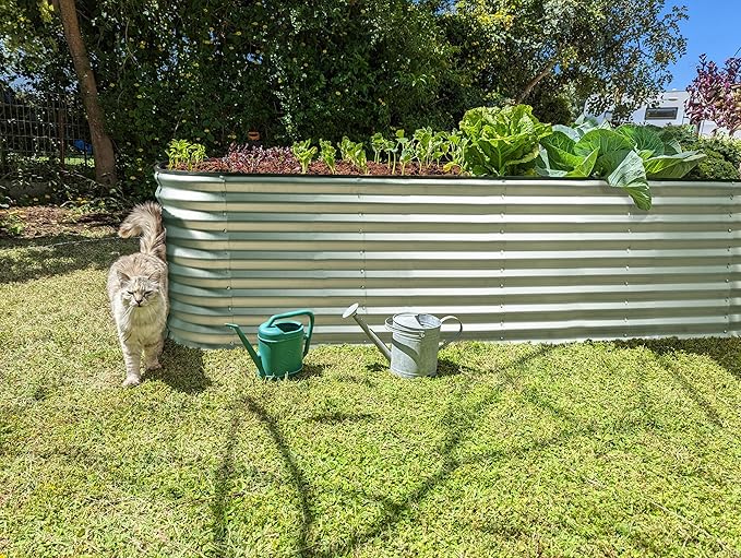 Galvanized Raised Garden Beds Outdoor // 8×2×2 ft Planter Raised Beds for Gardening, Vegetables, Flowers // Large Metal Garden Box (Silver) // Patented Tool-Free Design
